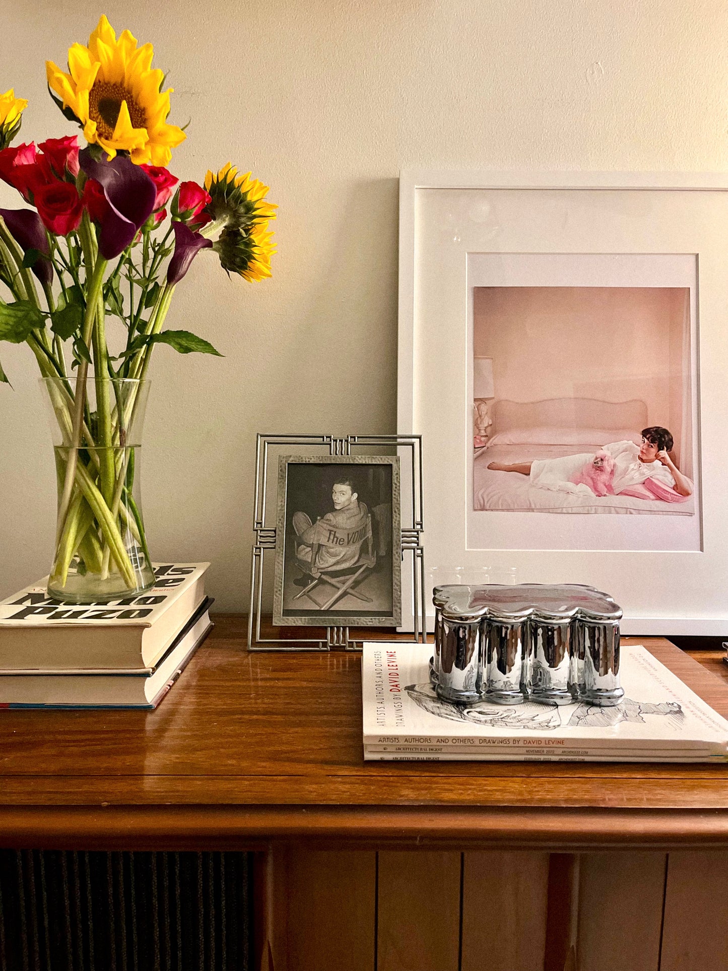 Framed Frank Sinatra Print