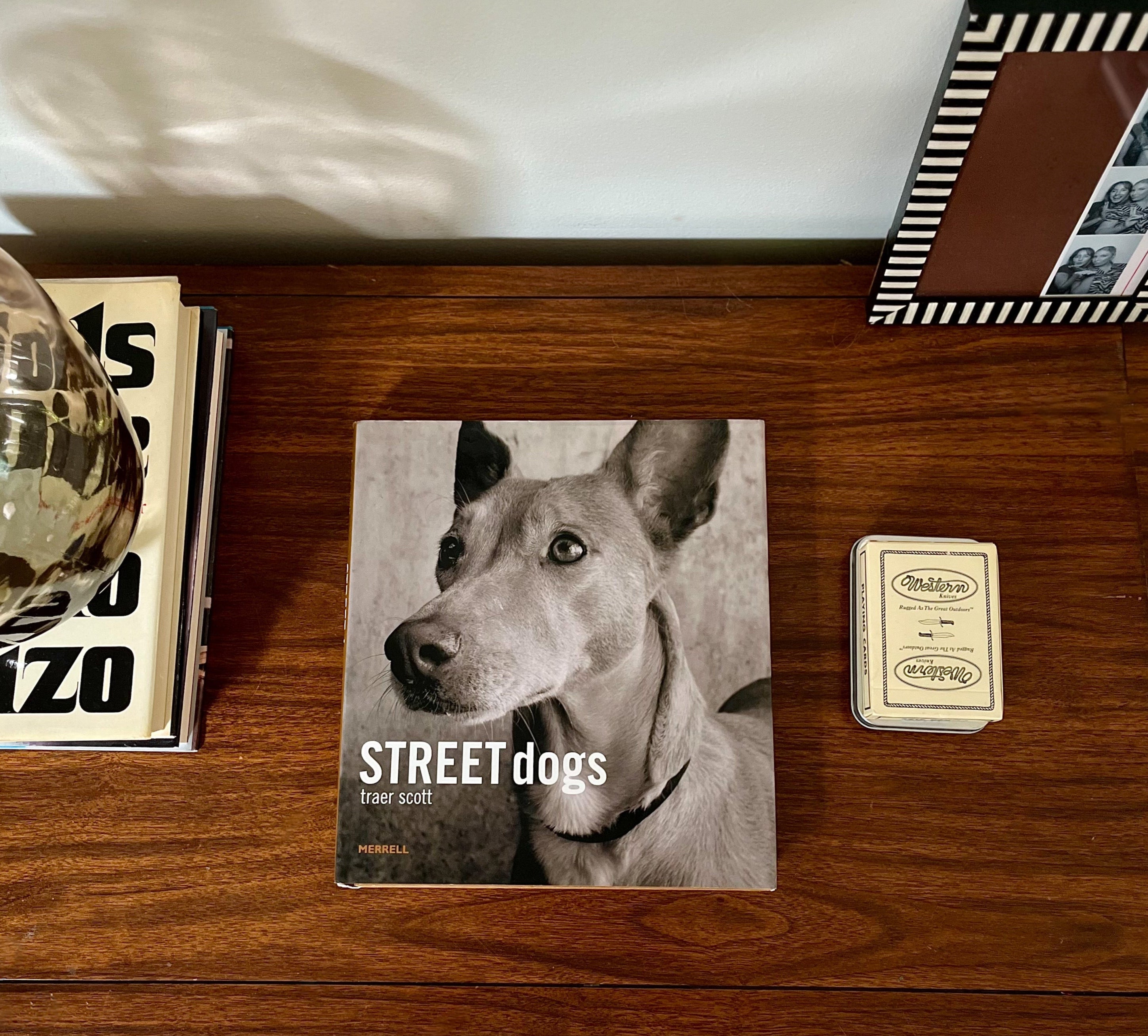 Street Dogs by Traer Scott – Photography Book