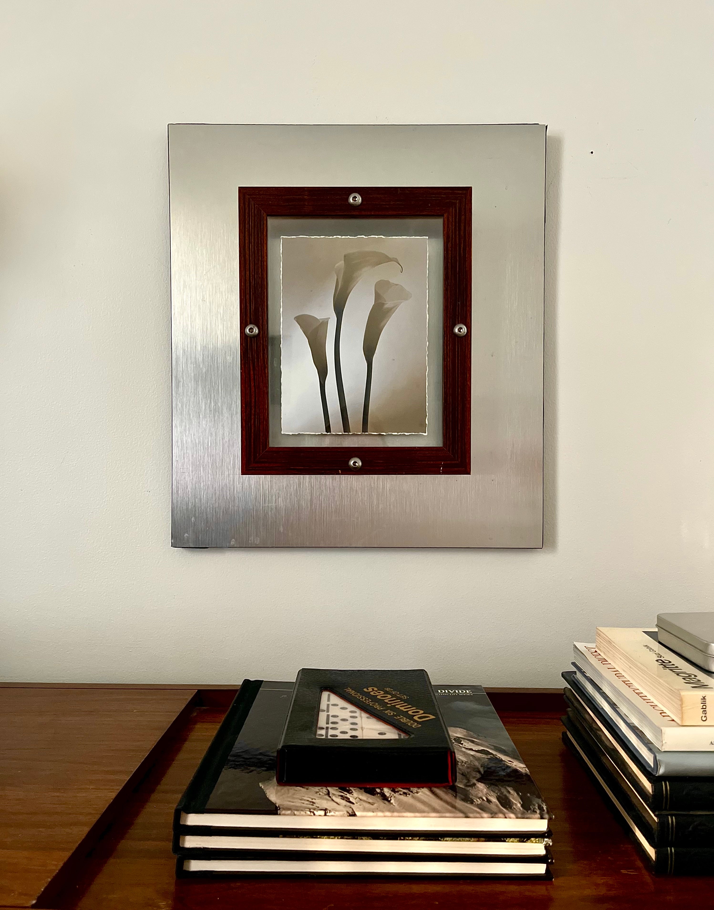 Modernist Brushed Steel Frame with Calla Lily Art Print