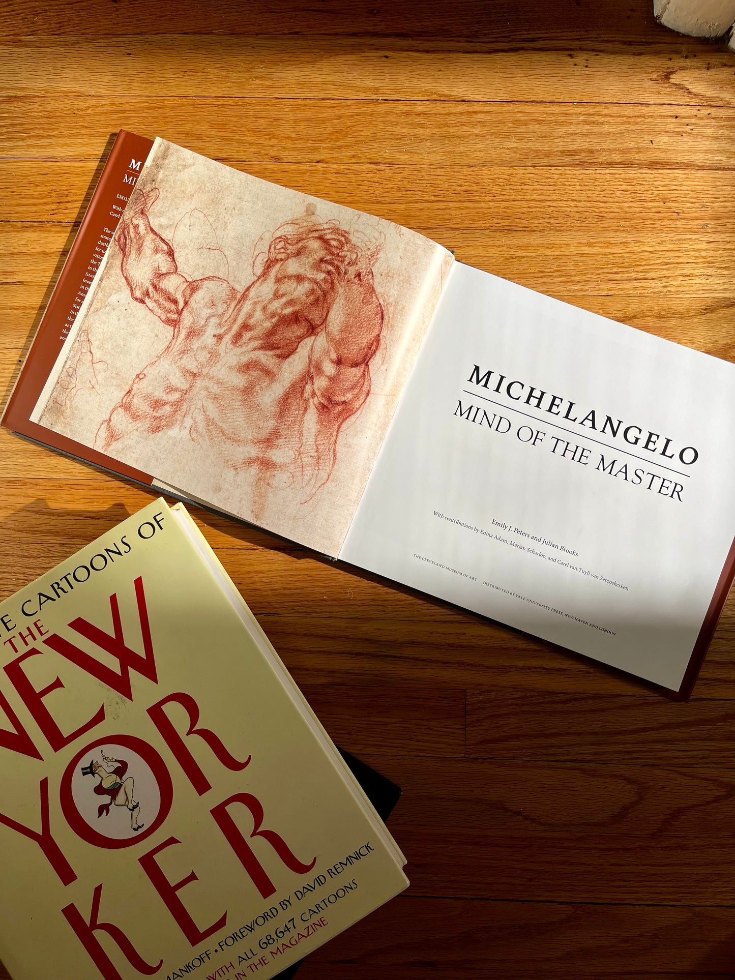 Michelangelo: Mind of the Master — Art Exhibition Book