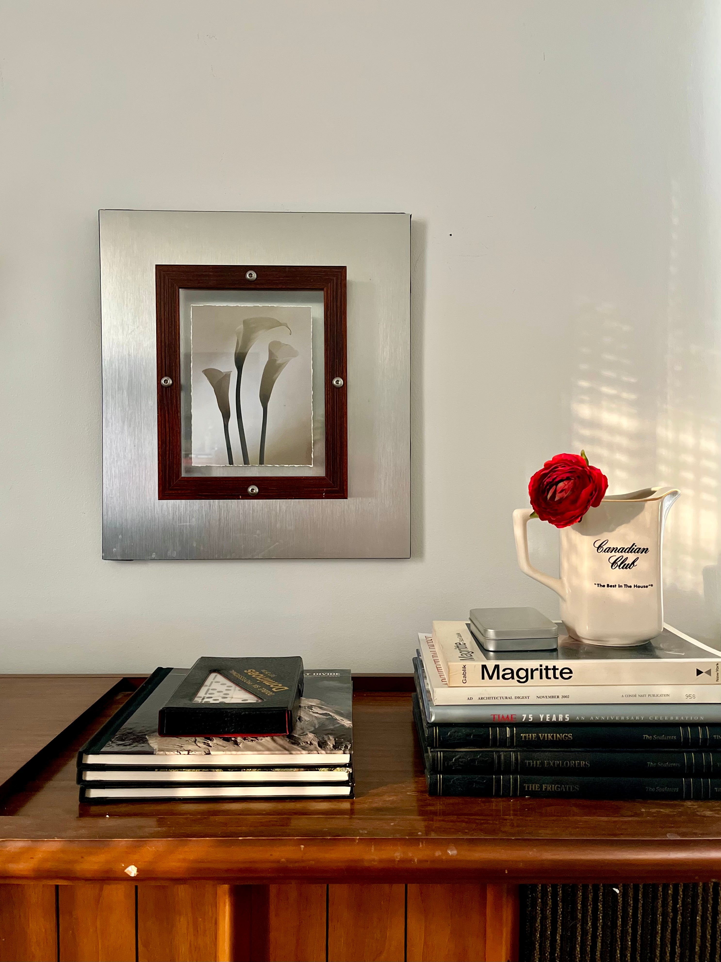 Modernist Brushed Steel Frame with Calla Lily Art Print