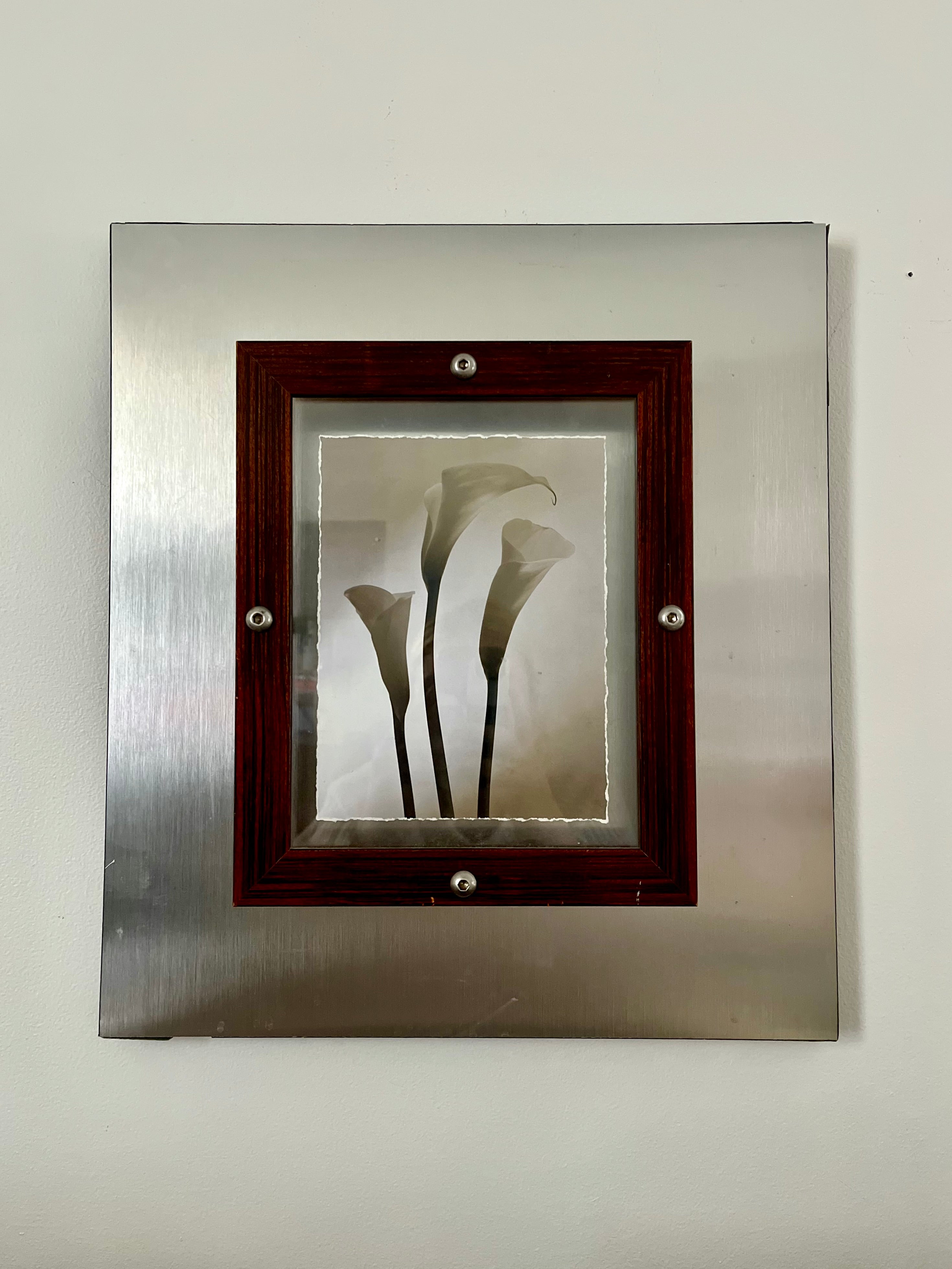 Modernist Brushed Steel Frame with Calla Lily Art Print