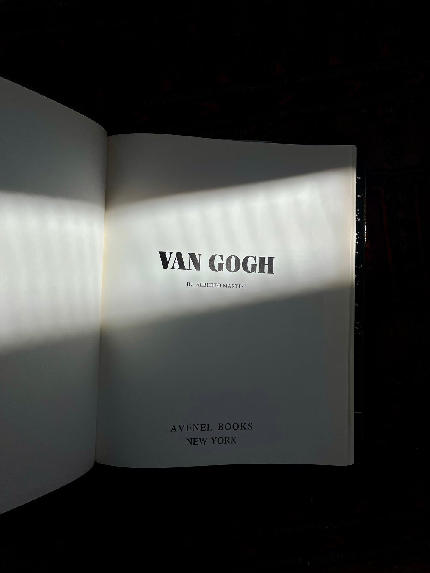 Van Gogh Hardcover Book By Alberto Martini