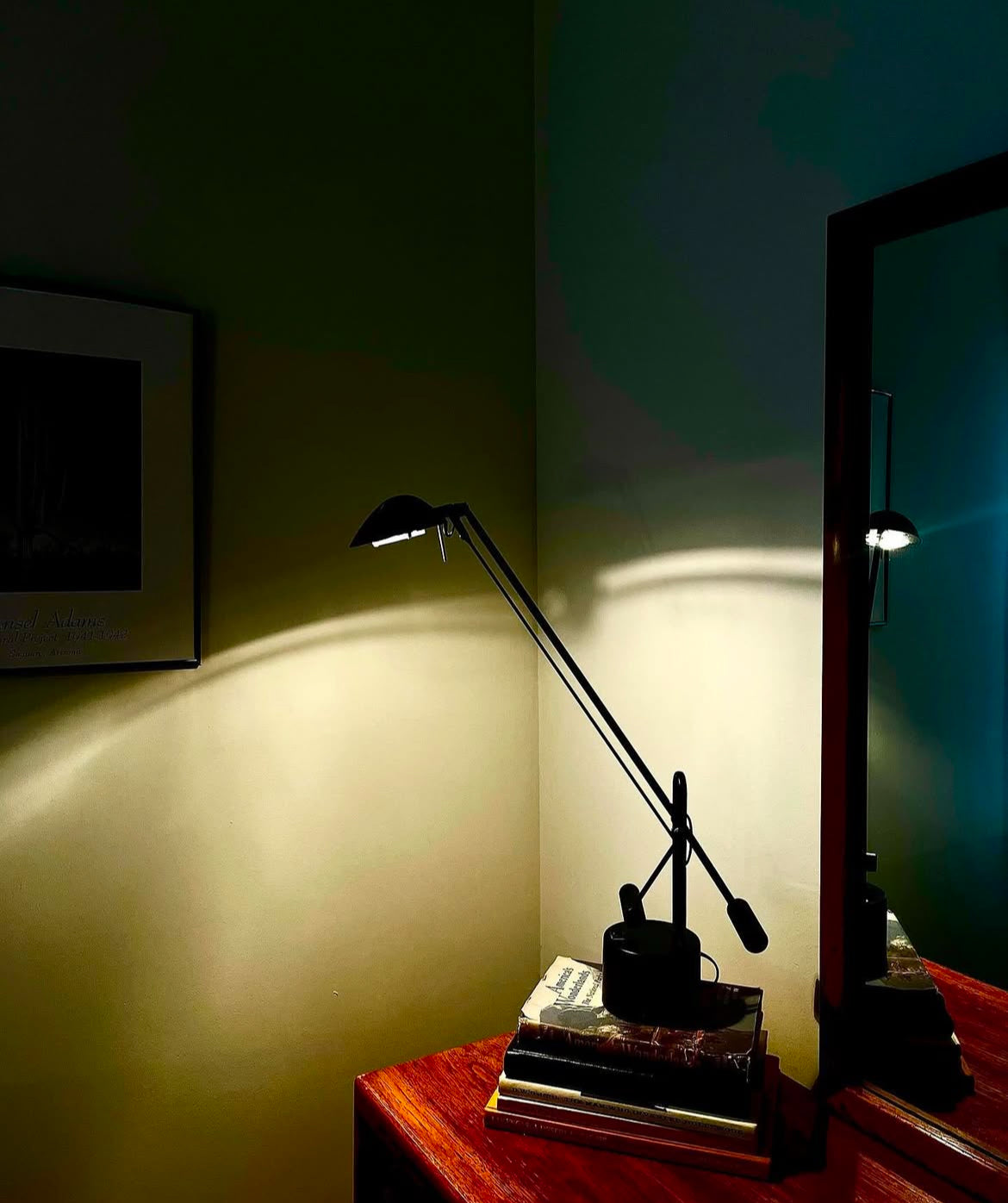 1970s Modernist Crane Neck Table Lamp
