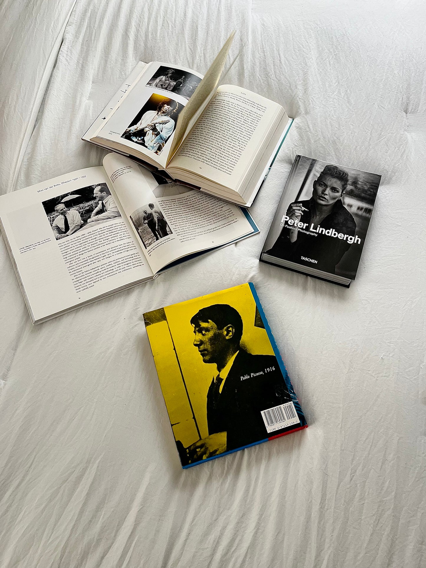 Portrait of Picasso as a Young Man Hardcover Book by Normal Mailer