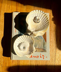 Vintage Coastal Scallop Shell Catchall Trinket Jewelry Dishes Set of 8