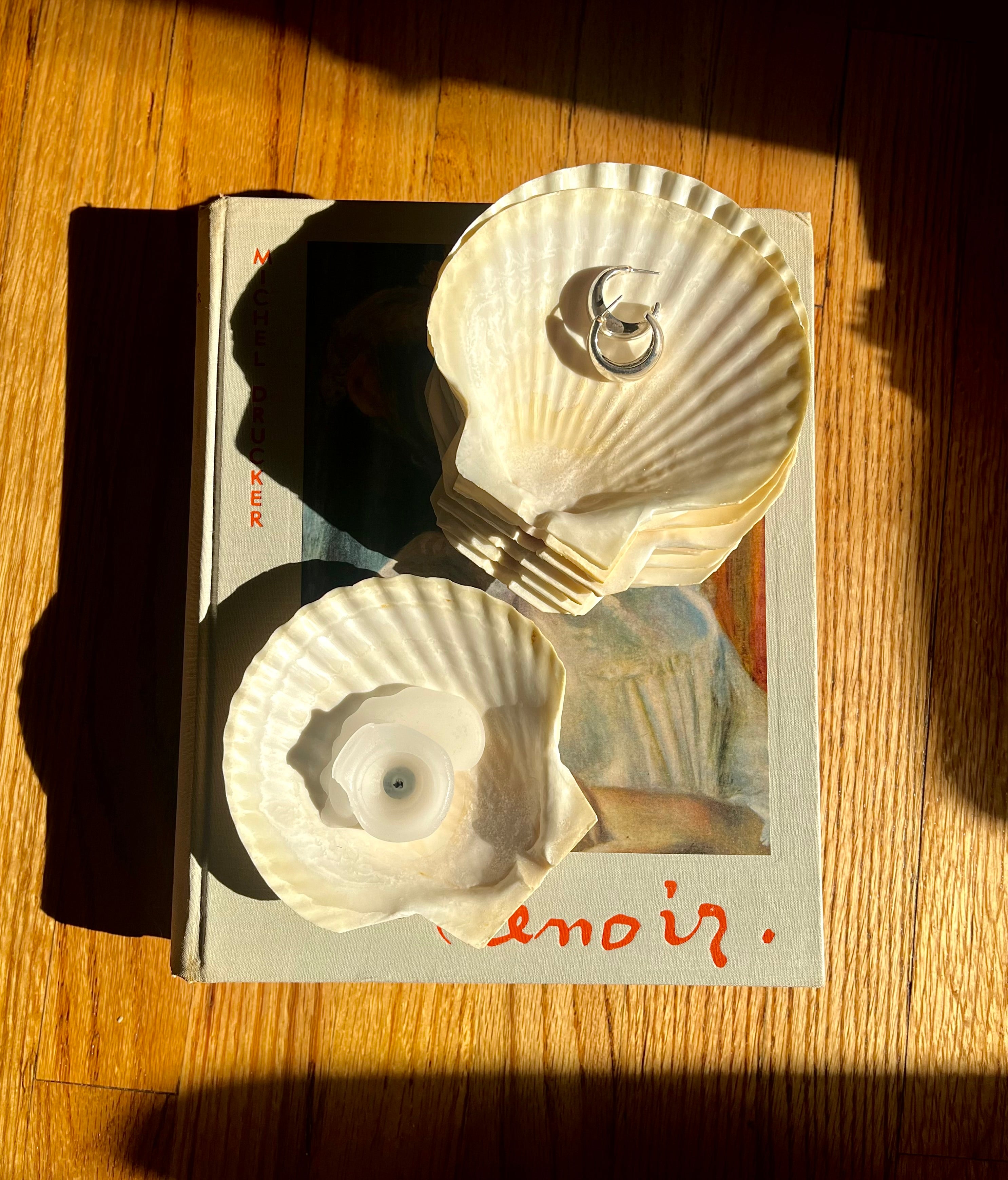 Vintage Coastal Scallop Shell Catchall Trinket Jewelry Dishes Set of 8