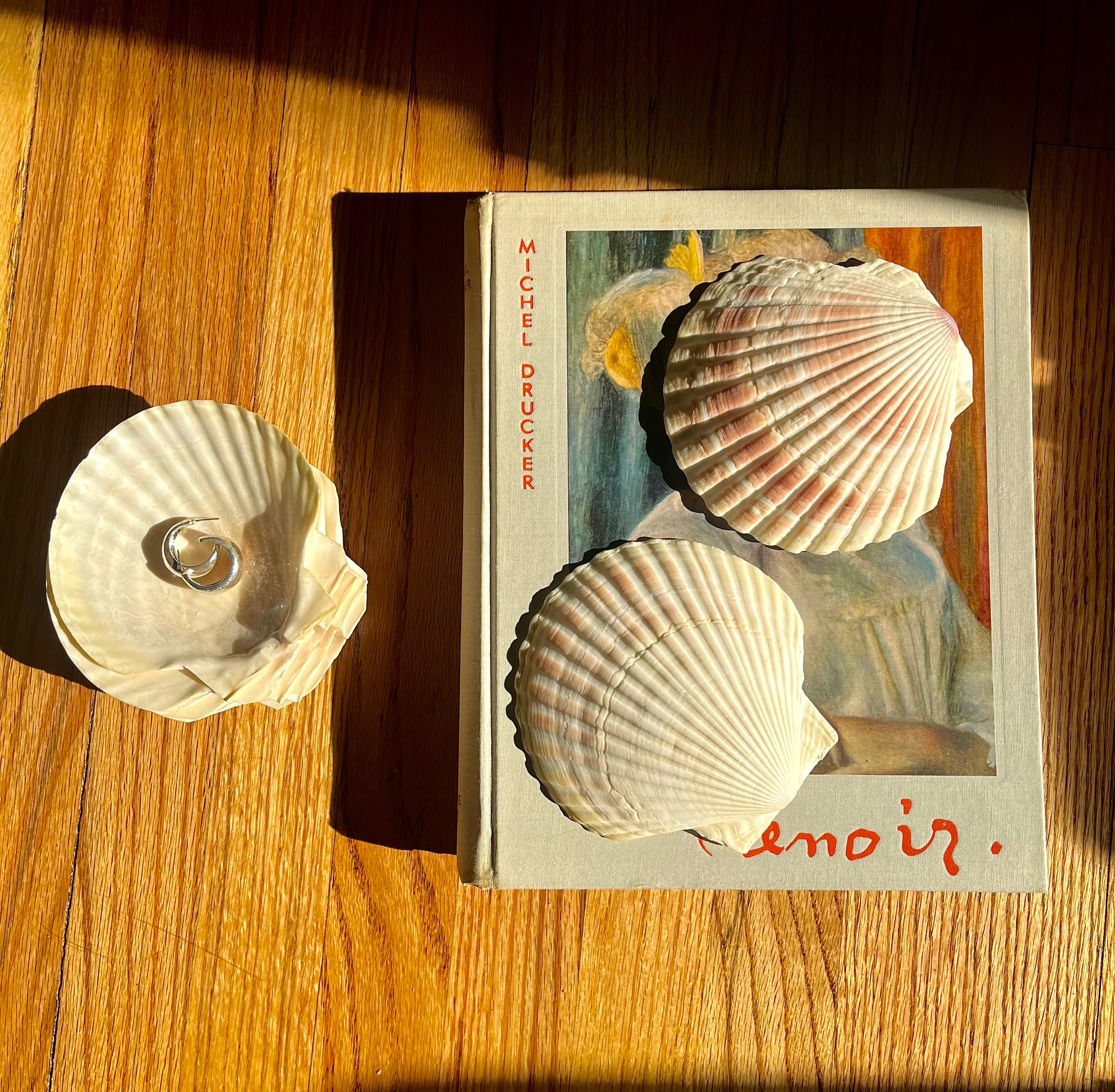 Vintage Coastal Scallop Shell Catchall Trinket Jewelry Dishes Set of 8